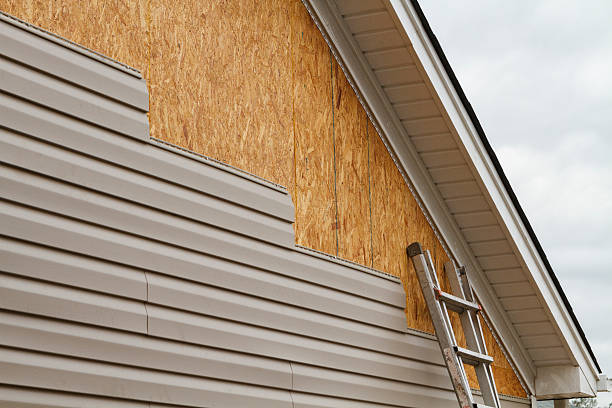 Professional Storm Damage Siding Repair technician working in Madison, WV